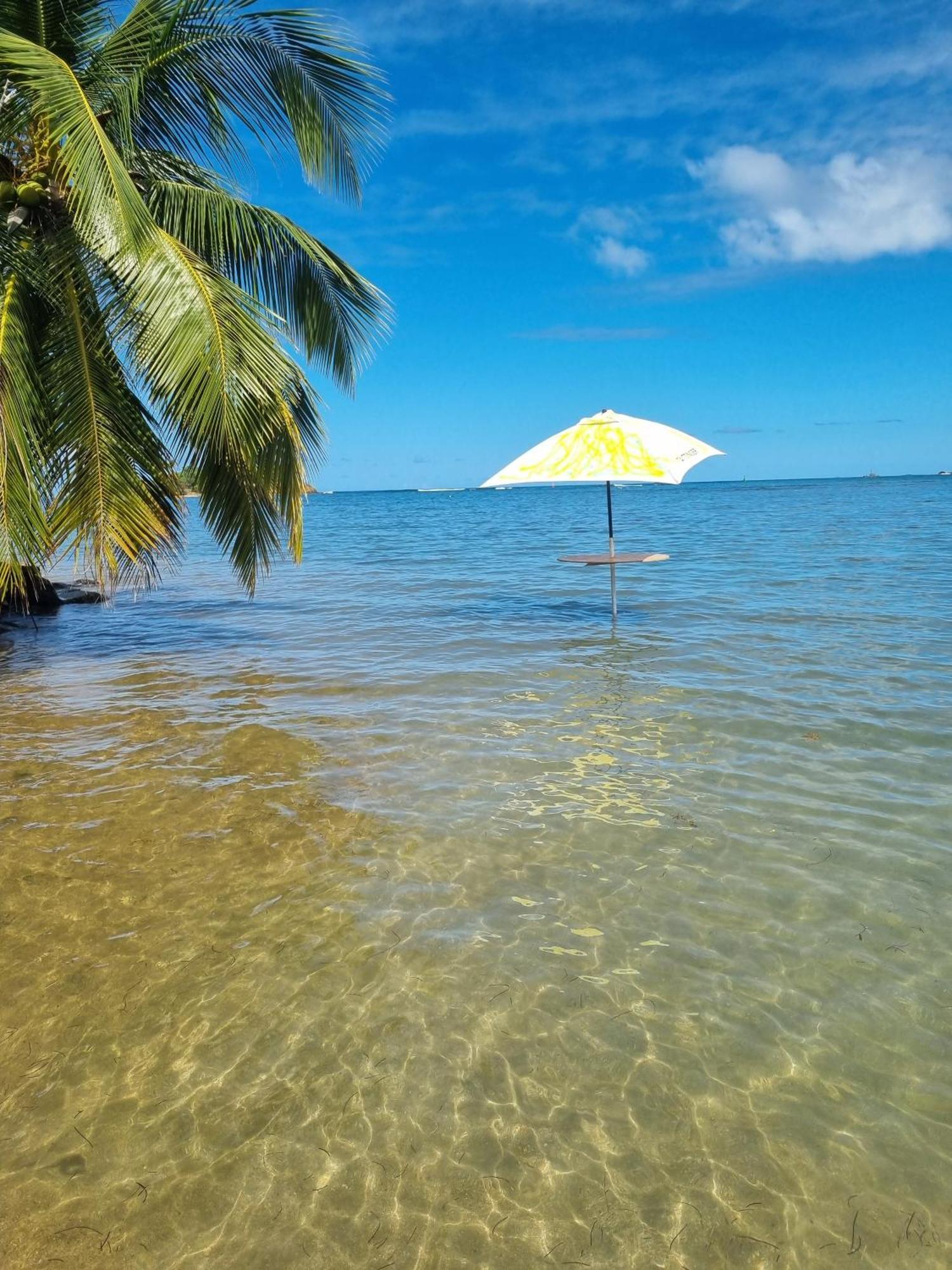Kozy Kaz - Les Pieds Dans L Eau Apartamento La Trinité Exterior foto